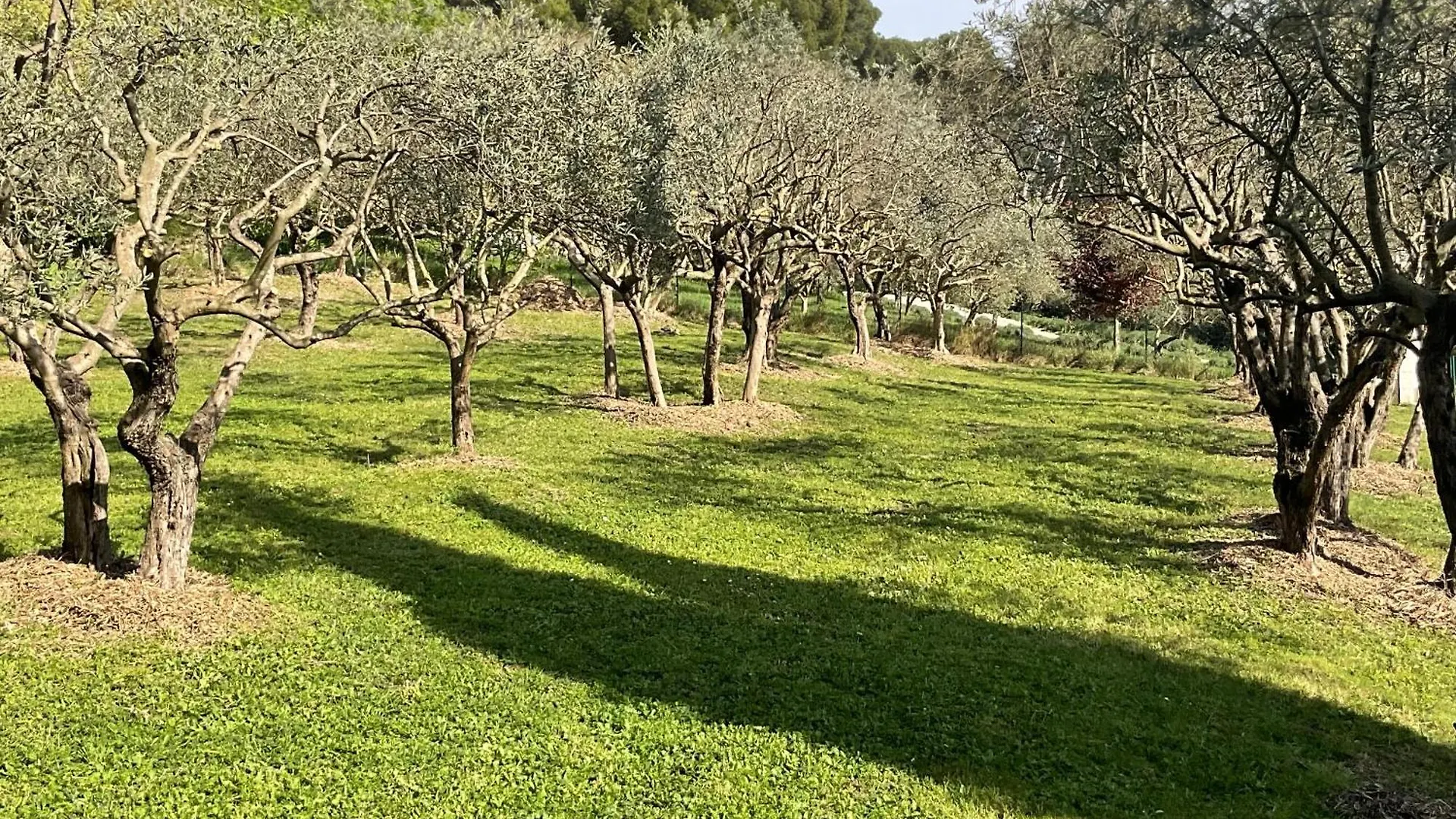 Mas La Floreline Cheval-Blanc France