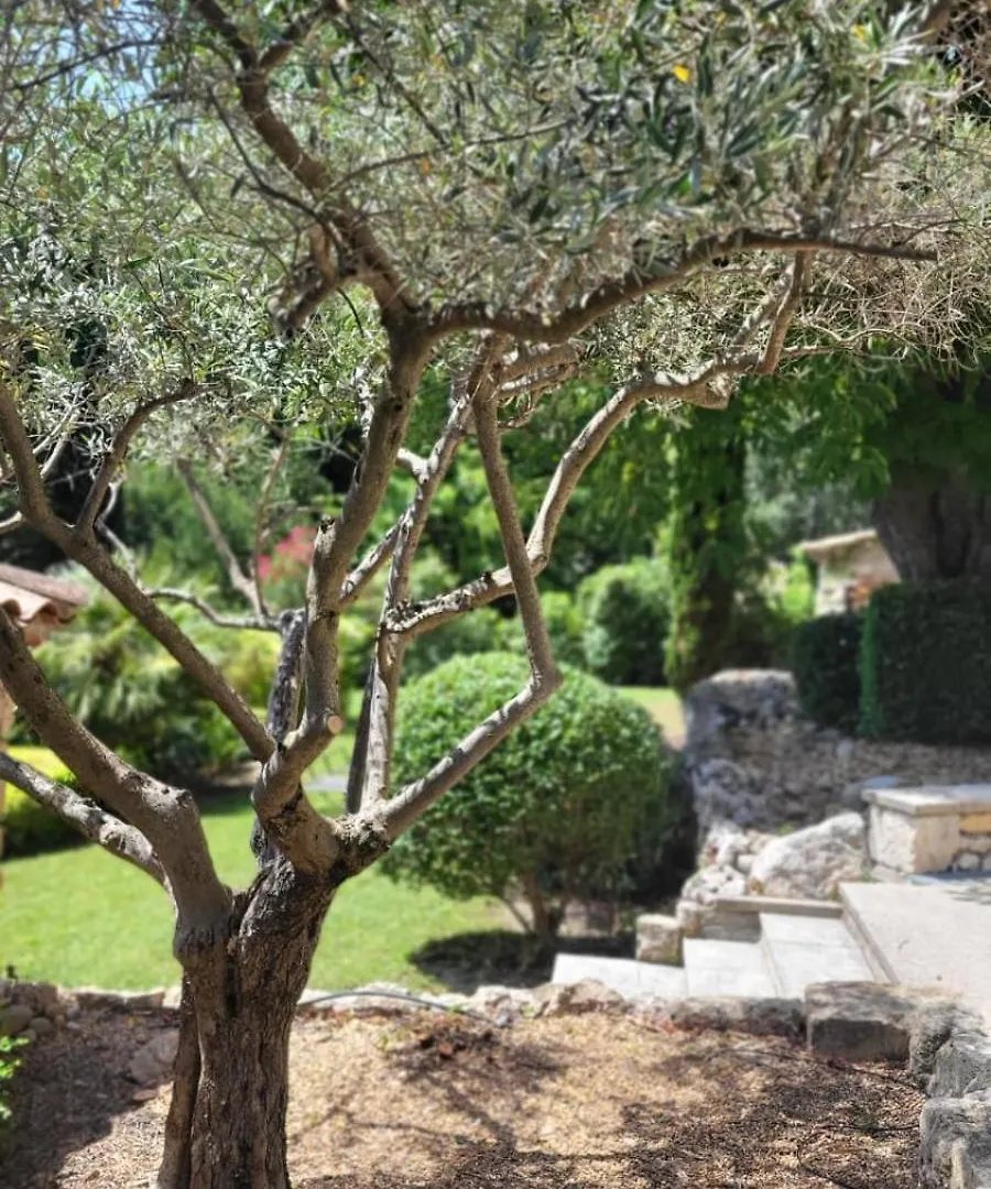 ** Guest house Mas La Floreline Cheval-Blanc France