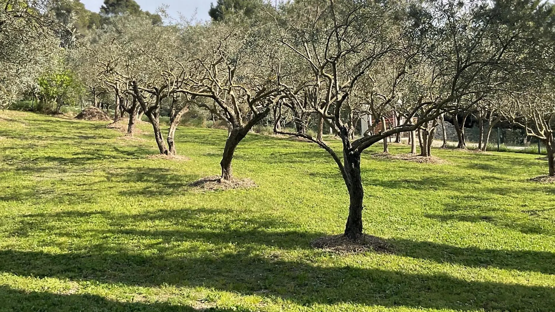 Mas La Floreline Cheval-Blanc